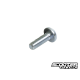 OEM Brake Screw (1) (Bws/Zuma 2002-2011)