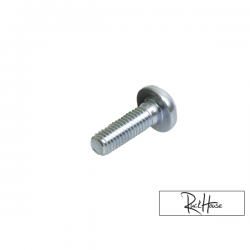 OEM Disc Brake Screw (1) (Bws/Zuma 2002-2011)
