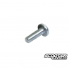 OEM Brake Screw (1) (Bws/Zuma 2002-2011)