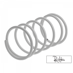 Torque spring Malossi White Original Piaggio-GY6