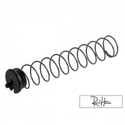 Polini CP replacement Spring & Holder
