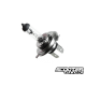 Headlight Bulb (Honda Ruckus)