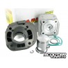 Cylinder kit Malossi SPORT 50cc