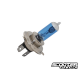 Headlight Bulb 12V 35/35W H4 P43 Xenon Ultra White