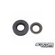 Oil Seal Replay for Crankshaft Minarelli