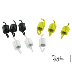 Clutch spring Malossi CPI