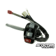 Left Handlebar Switch Complete (Bws/Zuma 2002-2011)