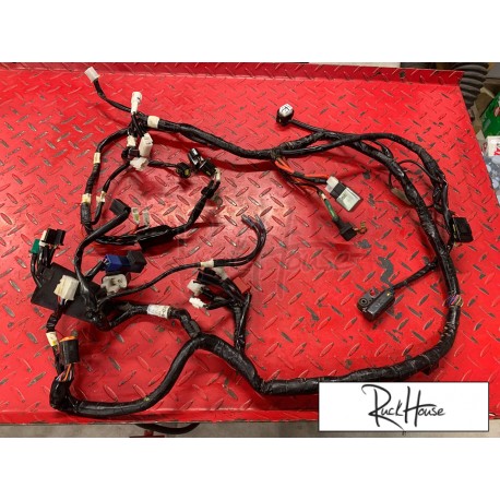 Wiring Harness - Zuma 50F 2012+ - SEE PICTURE - USED ITEM