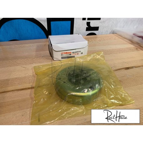 Ignition rotor Yamaha Raptor 90 2009-2013