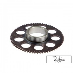 Starter Clutch Gear (Zuma 50F 2012+)
