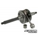 Crankshaft Motoforce Standard