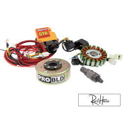 Honda Ruckus GY6 Rolling Wrench Engine Swap Harness (18 Pole Stator)