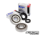 Crankshaft Bearings Motoforce (PGO-Genuine)