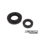 Seal for Crankshaft Motoforce PGO/Genuine