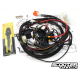 Honda Ruckus GY6 ATR Engine Swap Harness