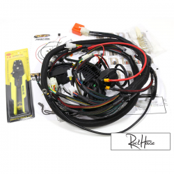 Engine Swap Harness PSP Honda Ruckus GY6