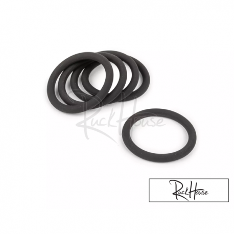 Silencer Flange O-Ring (1X)