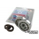 Crankshaft bearing Stage6 HQ