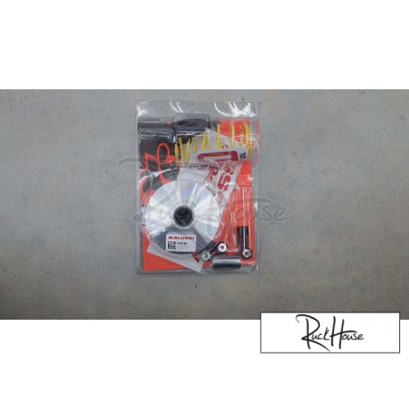 malossi multivar variator part number 5119760