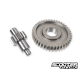Secondary Gear Kit Stylepro 14/41 (PGO)