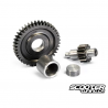 Secondary Gear Kit Polini 14/41 (PGO)