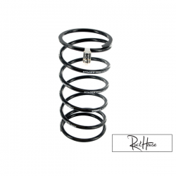 Torque spring Stage6 Soft Piaggio-GY6