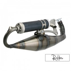 Exhaust Malossi MHR Team II Minarelli Horizontal