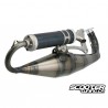 Exhaust Malossi MHR Team II