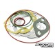 Gasket set Malossi MHR Bigbore 77/86cc LC