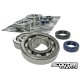 Crankshaft bearings Naraku