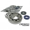 Crankshaft bearings Naraku