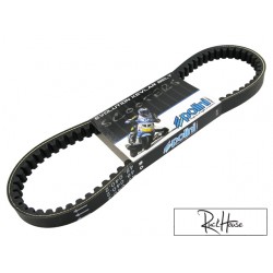 Drive Belt Polini Evolution Minarelli Long