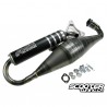 Exhaust System Big Evolution III