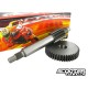 Primary gear kit Malossi 13/44