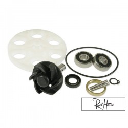 Water Pump Replacement Parts Motoforce (Rebuilt kit) Minarelli