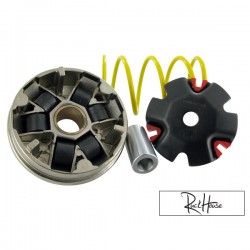 Variator Malossi Multivar