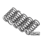 Clutch Spring Malossi MHR