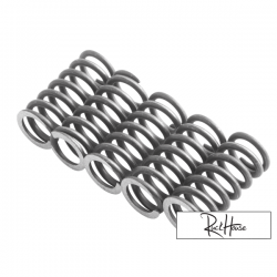 Clutch Spring Malossi MHR