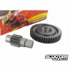 Secondary Gear Kit Malossi 13/48 (Piaggio)