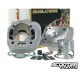 Cylinder kit Malossi MHR Replica