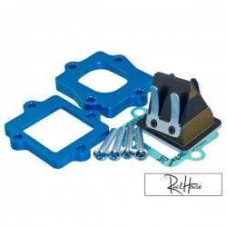 Reed valve Polini Big Evolution Minarelli Horizontal