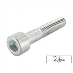 Shock Absorber Bolt Motoforce M10x55 (Piaggio)