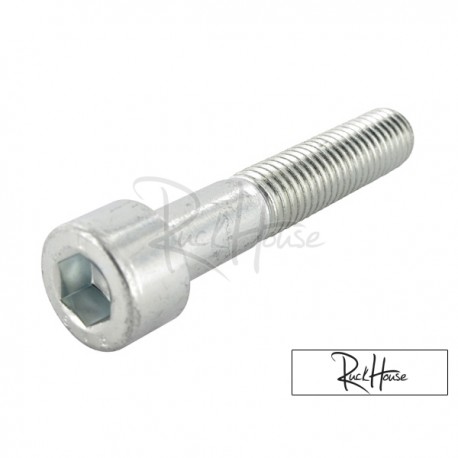 Shock Absorber Bolt Motoforce M10x55 (Piaggio)