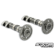 Camshaft Malossi Double Power
