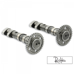 Camshaft Malossi Double Power