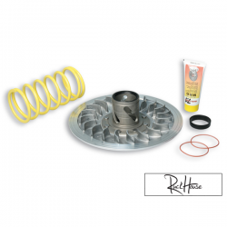 Torque Driver Malossi MHR