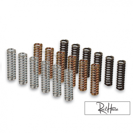 Clutch Spring Set Malossi Racing