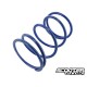 Torque Spring Polini Honda Zoomer 50