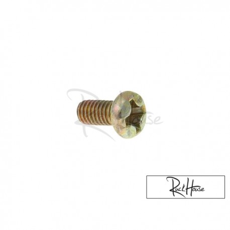 Carburetor choke mounting / air cut valve screw