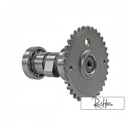 Camshaft for 139QMB/QMA